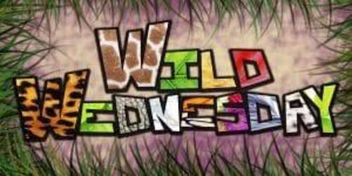 Theme image