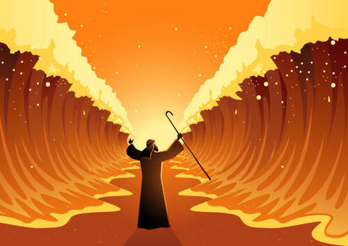 Theme image