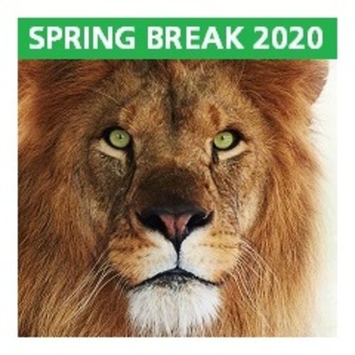 Theme image