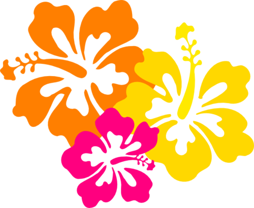 luau-bible-camp-vbs-pro-group-publishing
