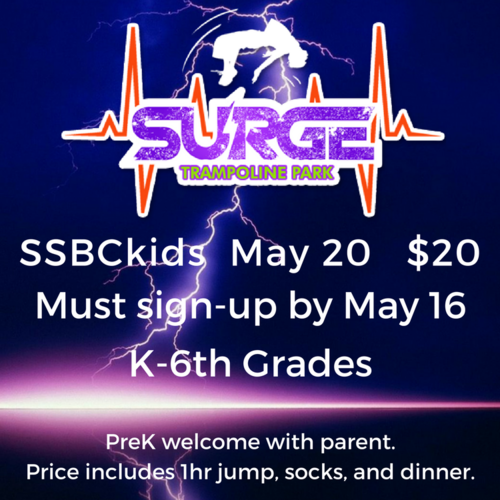 Surge VBS Pro Group Publishing