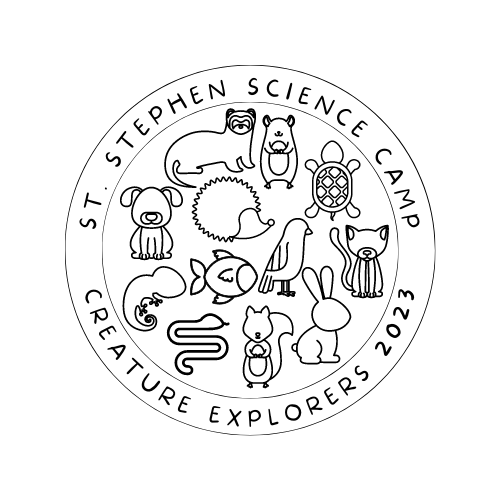 2023 Science Camp Creature Explorers VBS Pro Group Publishing