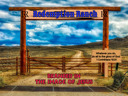 Theme image